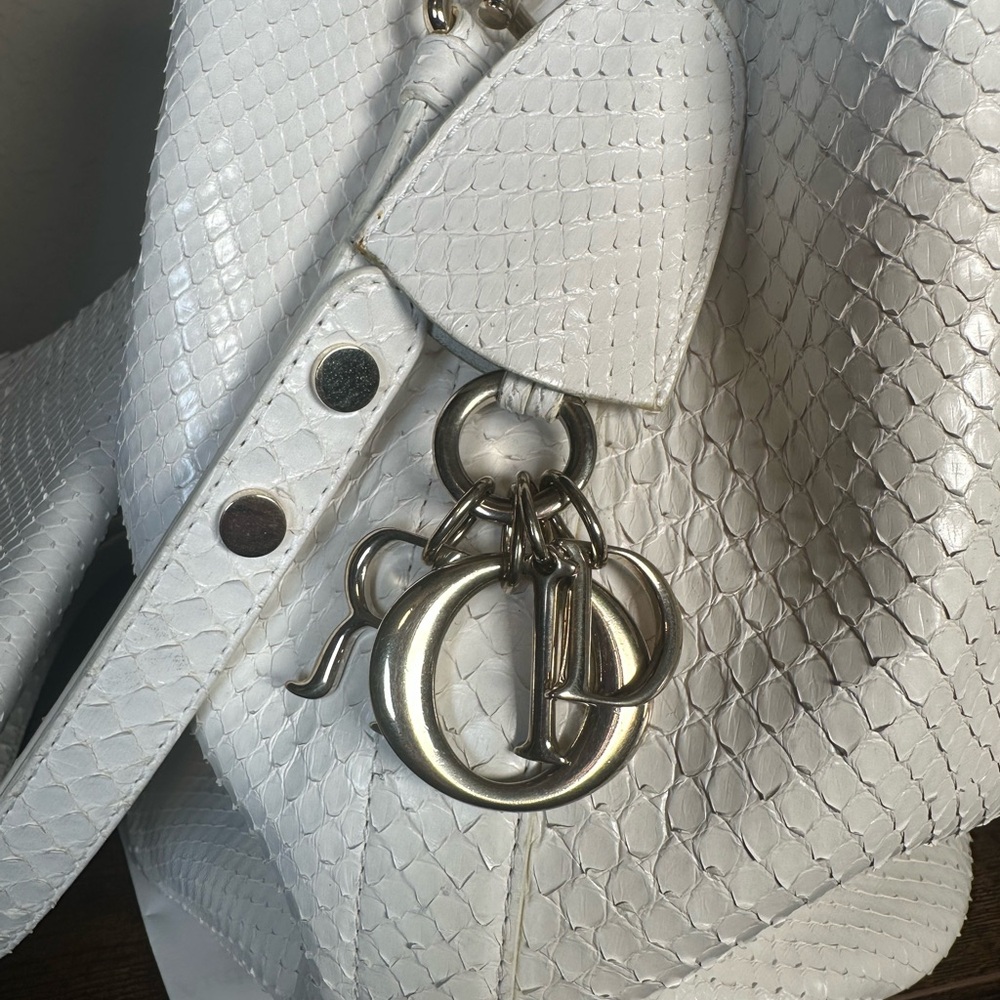 ULTRA RARE Dior Python White Gold Runway Bag - Picture 9 of 14